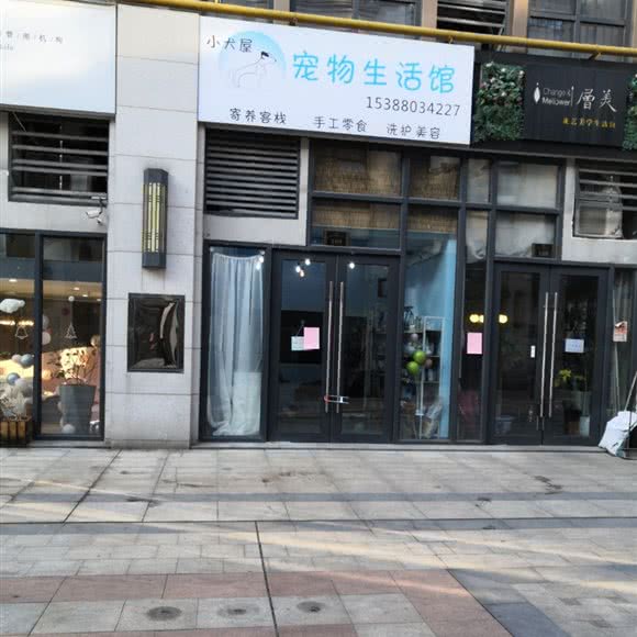 小犬屋宠物生活馆:长沙市天心区浦沅附近