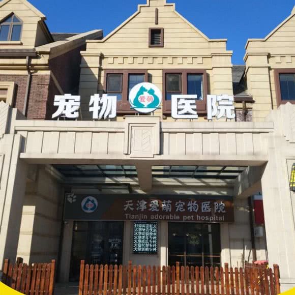 爱萌宠物医院:天津城区西青区中北镇附近