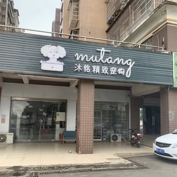 沐铭宠物:长沙市天心区新省政府附近