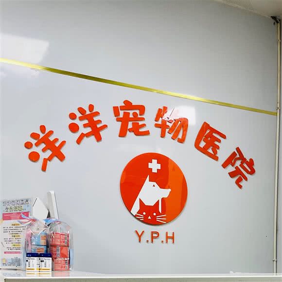 洋洋宠物医院:长沙市天心区新省政府附近