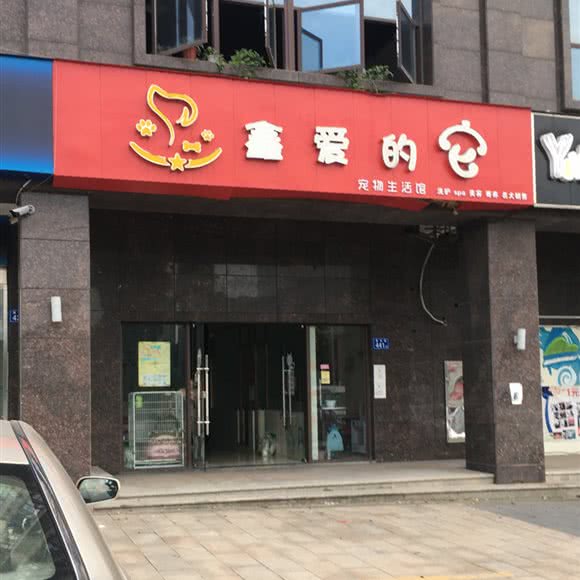 鑫爱的它宠物生活馆:长沙市天心区云塘理工/环保科技园附近