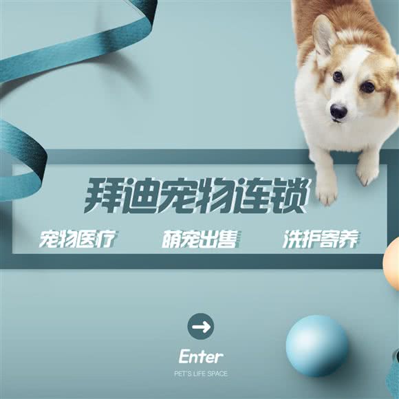 拜迪宠物医院(南城首府店):长沙市天心区云塘理工/环保科技园附近