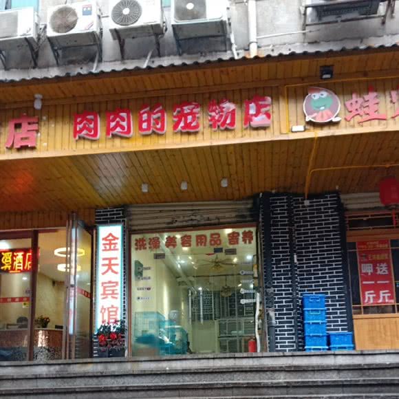 肉肉的宠物店:长沙市天心区太平街附近