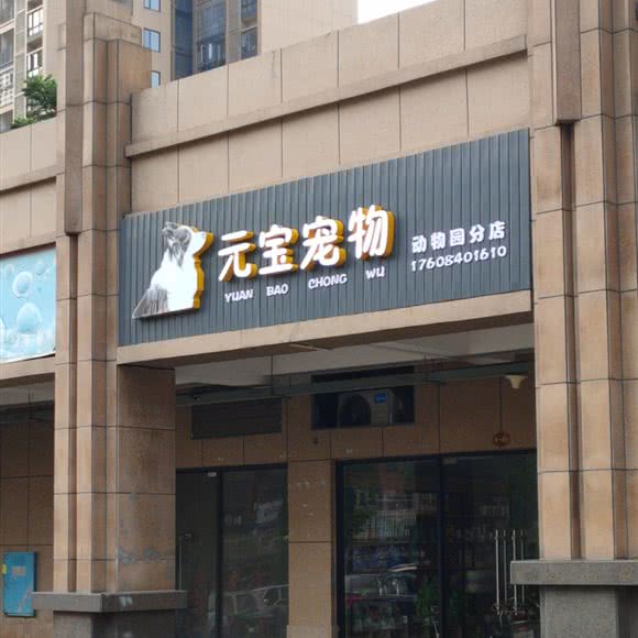 元宝宠物动物园店:长沙市天心区暮云镇附近