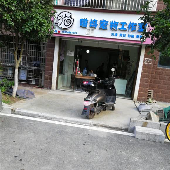 喵坞宠物工作室:长沙市岳麓区河西大学城附近