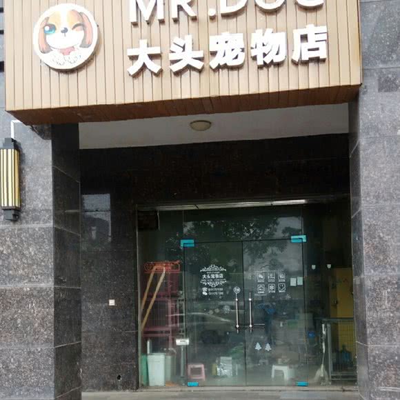 大头宠物店:长沙市岳麓区河西大学城附近