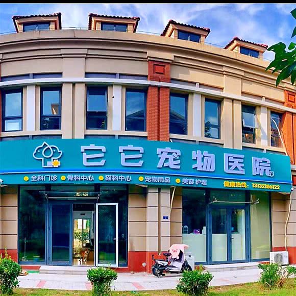 它它宠物医院:天津城区西青区中北镇附近