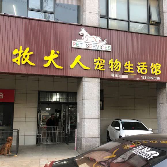 牧犬人狗狗生活馆:长沙市岳麓区桐梓坡附近