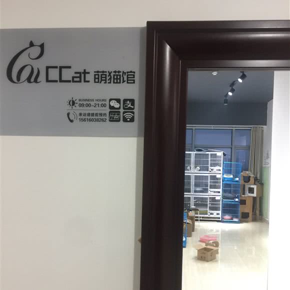 萌猫宠物店:长沙市岳麓区桐梓坡附近