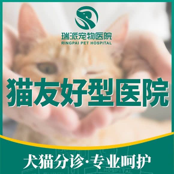 瑞派蒂凯动物医院·免疫点:长沙市岳麓区桐梓坡附近