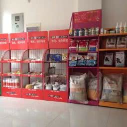 靓宠宠物美容:天津城区西青区杨柳青附近