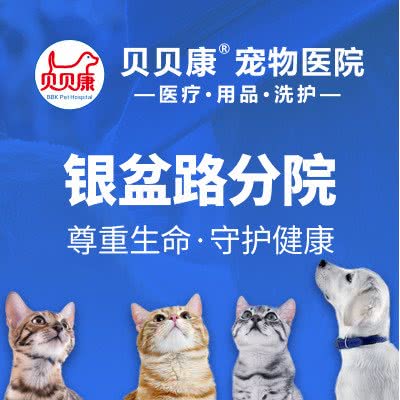 贝贝康宠物医院(贝贝康银盆路分院):长沙市岳麓区银盆岭附近