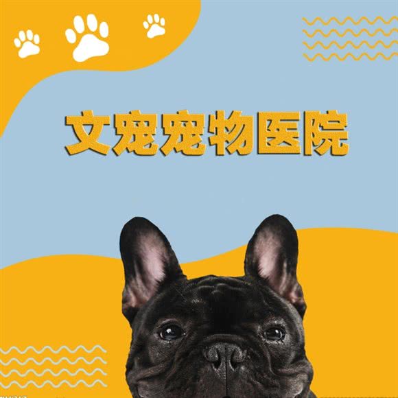 文宠宠物医疗中心·24小时(中央美郡店):长沙市岳麓区咸嘉湖附近