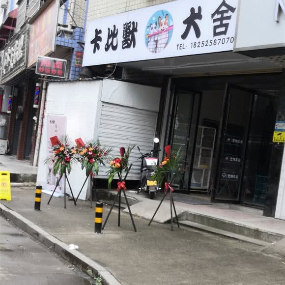 卡比兽犬舍:长沙市岳麓区咸嘉新村/商学院附近