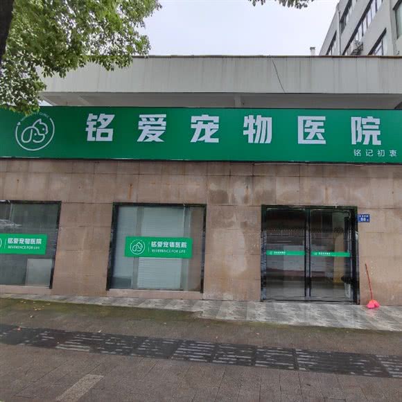 铭爱宠物医院:长沙市岳麓区溁湾镇/新外滩附近