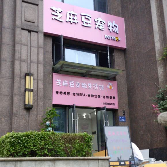 芝麻豆狗狗生活馆:长沙市岳麓区梅溪湖附近