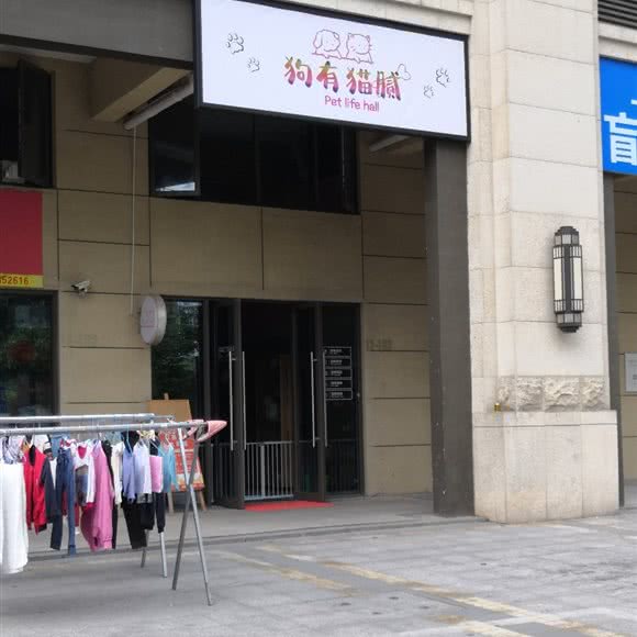 狗有猫腻:长沙市岳麓区梅溪湖附近