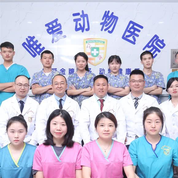 唯爱宠物医院·猫专科·长沙市疫苗定点单位(梅溪湖店):长沙市岳麓区梅溪湖附近