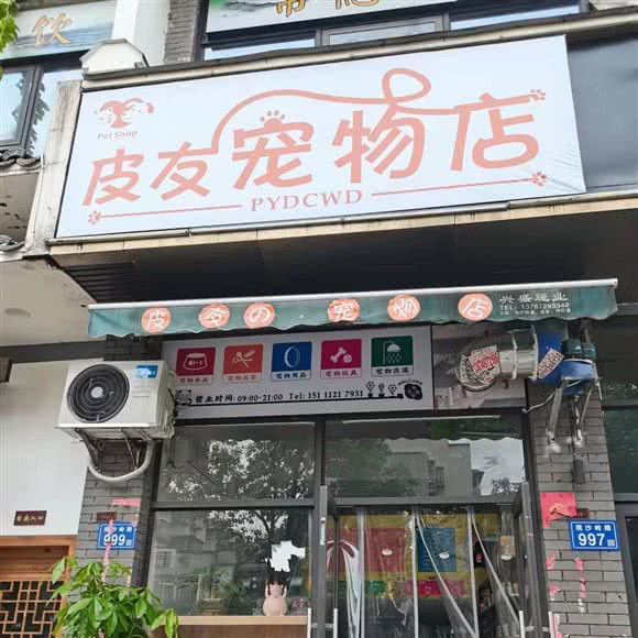 皮友的宠物店:长沙市岳麓区观沙岭/茶子山附近