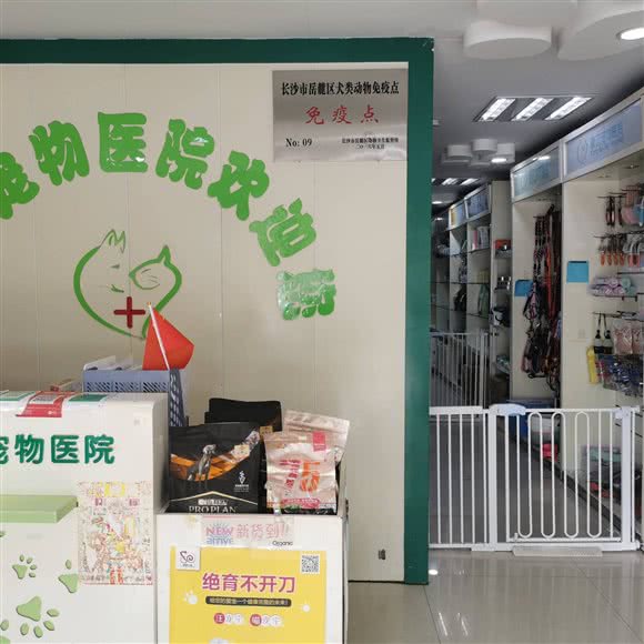 康贝宠物医院(茶子山店):长沙市岳麓区观沙岭/茶子山附近