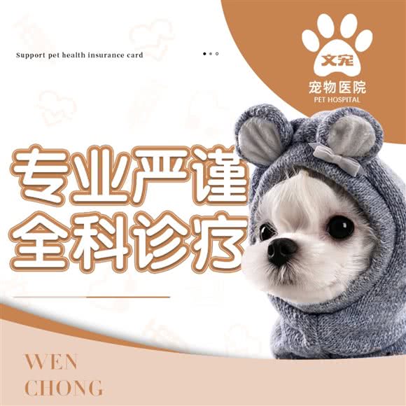 文宠宠物医疗中心(恒大华府店):长沙市岳麓区观沙岭/茶子山附近