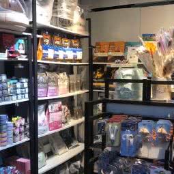 CQ宠物:长沙市岳麓区涉外经济学院附近