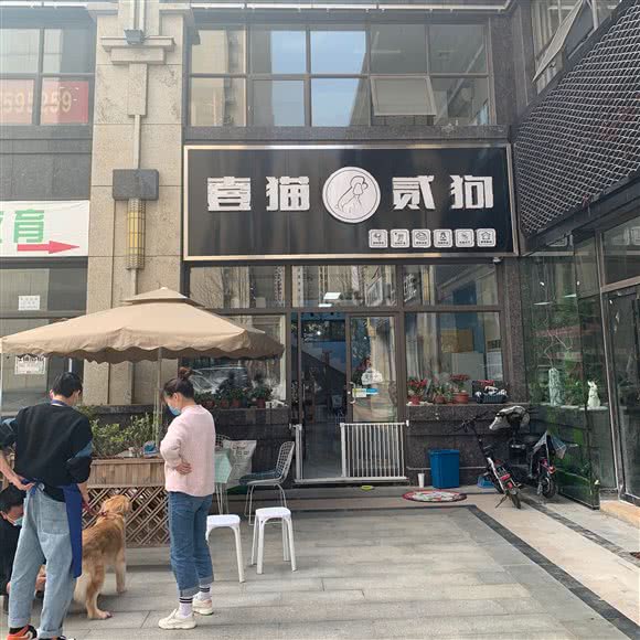 壹猫贰狗:长沙市岳麓区涉外经济学院附近