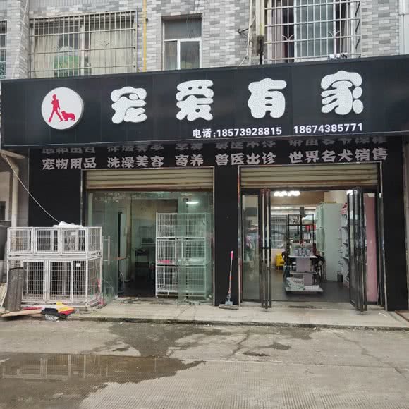 家有爱宠咖啡店:长沙市岳麓区涉外经济学院附近