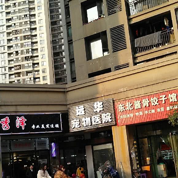 远华宠物医院:长沙市岳麓区涉外经济学院附近