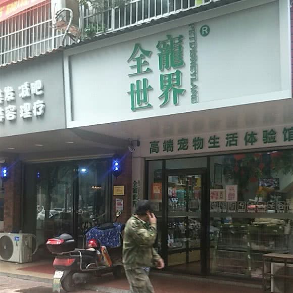 全宠世界:长沙市岳麓区汽车西站/达美D6区附近