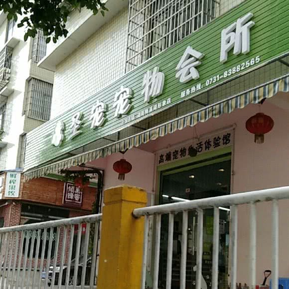 圣宠宠物(长沙梅溪湖店):长沙市岳麓区汽车西站/达美D6区附近