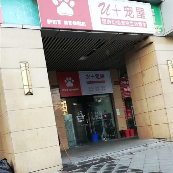 U十宠屋:长沙市岳麓区汽车西站/达美D6区附近