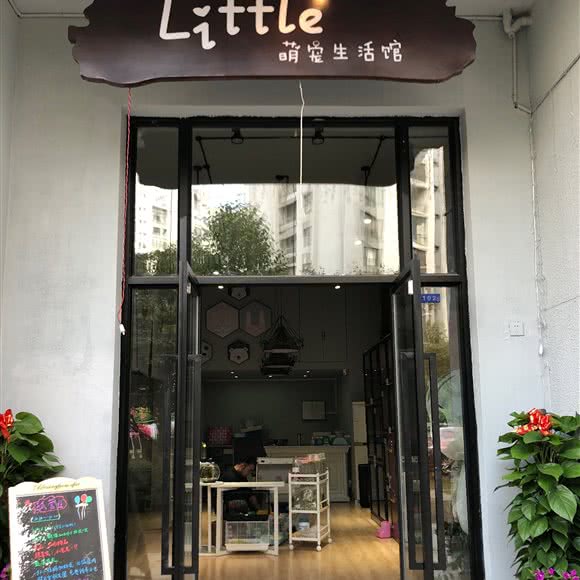 Little萌宠生活馆:长沙市岳麓区罗家嘴/阳光100附近