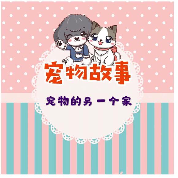 宠物故事:长沙市岳麓区含浦附近