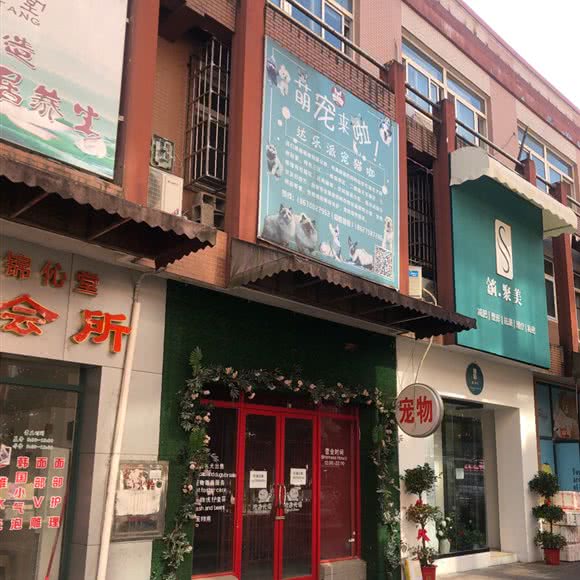 达乐派高端宠物生活馆:长沙市岳麓区含浦附近