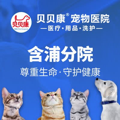 贝贝康宠物医院(含浦分院):长沙市岳麓区含浦附近