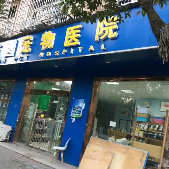 方圆宠物诊所:长沙市岳麓区含浦附近