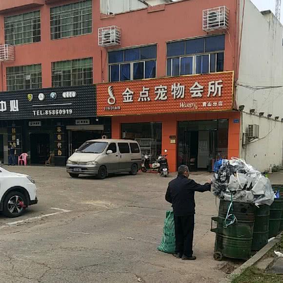 金点宠物会所(青山店):长沙市岳麓区青山镇/莱茵城附近