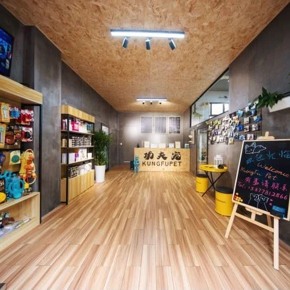 工夫宠训练寄养乐园:长沙市岳麓区洋湖新城附近