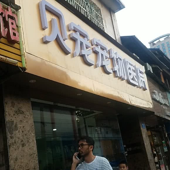 贝宠宠物医院:长沙市开福区中山亭/乐和城附近