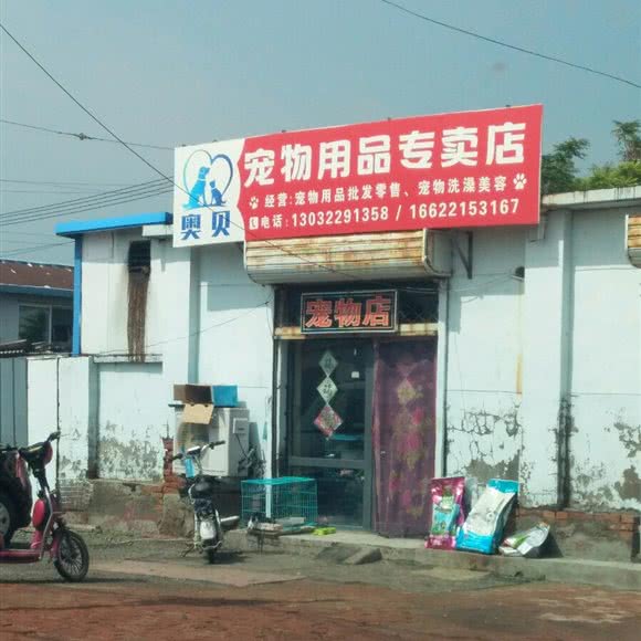 奥贝宠物用品专卖店:天津城区西青区杨柳青附近