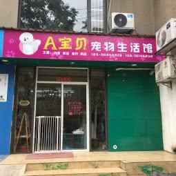 a宝贝宠物生活馆:长沙市开福区兴汉门附近