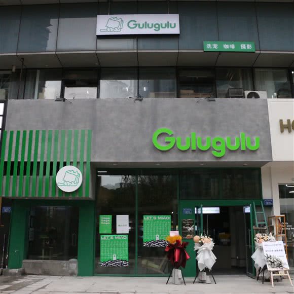 Gulugulu宠物生活:长沙市开福区北辰三角洲附近