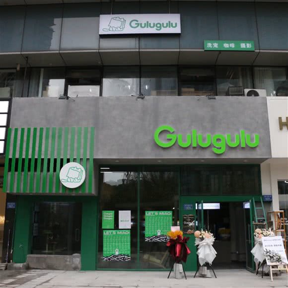 Pet星狗狗王国:长沙市开福区北辰三角洲附近