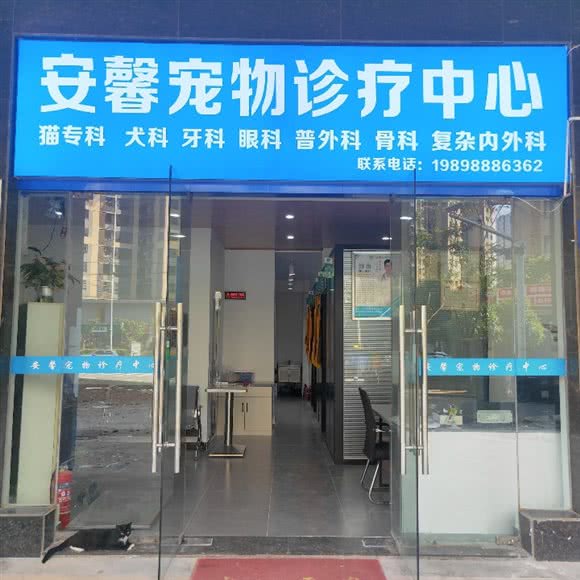 安馨宠物诊疗中心:长沙市开福区北辰三角洲附近