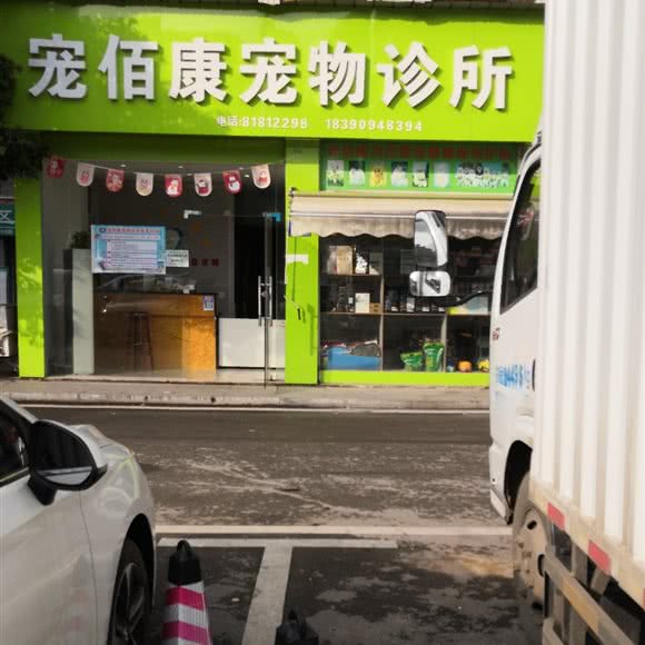 宠佰康宠物诊所:长沙市开福区月湖公园/长沙大学附近