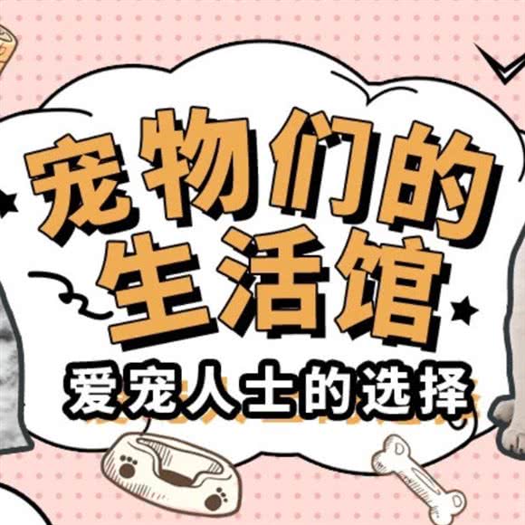 喵记宠物美容生活馆:长沙市开福区伍家岭/开福寺附近