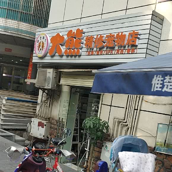 大熊宠物店:长沙市开福区伍家岭/开福寺附近