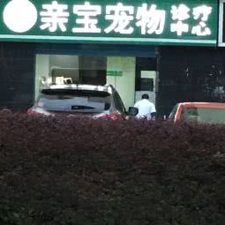 亲宝宠物诊所:长沙市开福区伍家岭/开福寺附近