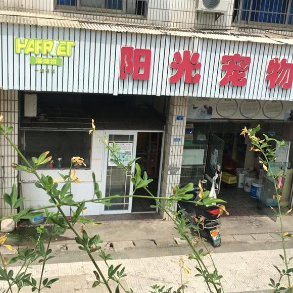 海瑞特阳光宠物:长沙市开福区湘江世纪城附近